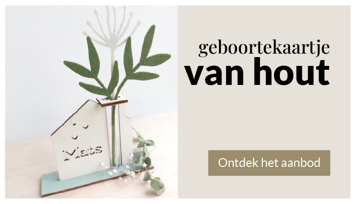 Geboortekaartjes van Hout