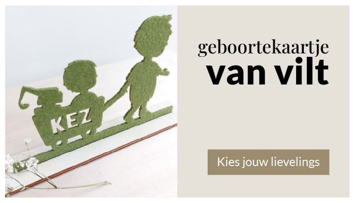 Geboortekaartjes van Vilt