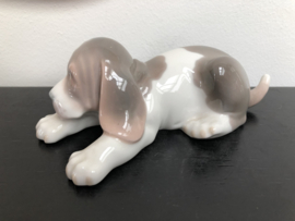 Lladro porselein:  Sleepy Puppy / Perro Dormilon 01009134 hoog 5,5 cm breed 17 cm