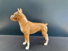 Goebel porselein: Boxer hoog 19 cm lang 20 cm glans nummer 30 617 18
