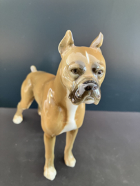 Huetschenreuther porselein: beeld Boxer 16,5 cm lang glans
