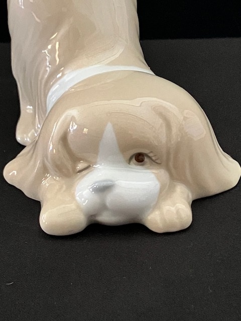 Miquel Requena porselein: Maltezer Leeuwtje 13 cm / 10 cm hoog