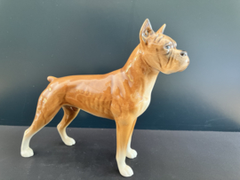 Goebel porselein: Boxer hoog 19 cm lang 20 cm glans nummer 30 617 18