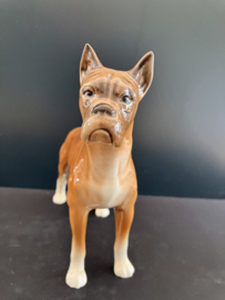 Goebel porselein: Boxer hoog 19 cm lang 20 cm glans nummer 30 617 18