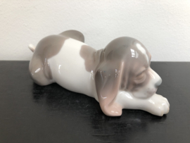 Lladro porselein:  Sleepy Puppy / Perro Dormilon 01009134 hoog 5,5 cm breed 17 cm