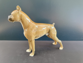 Huetschenreuther porselein: beeld Boxer 16,5 cm lang glans