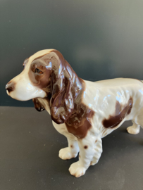 Goebel porselein: Spaniel CH623 hoog 14 cm breed 20 cm