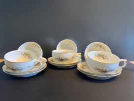 Rosenthal porselein: Classic Rose 6  theekopjes kopje 9 cm doorsnede / 5,5 cm hoog en schotel doorsnede 14 cm