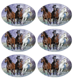 stickers paarden, glans per 18