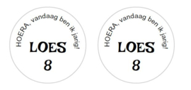 stickers met naam, 24 per vel