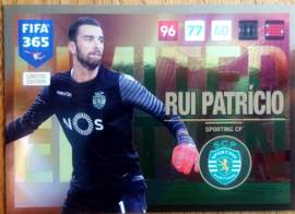 Limited Edition RUI PATRICIO