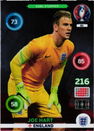 83 Goalstopper HART