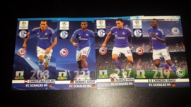 Panini Adrenalyn XL CL 14/15 Update Edition Schalke 04 complete set