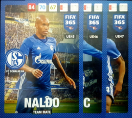 Fc Schalke 04