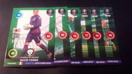 Panini Adrenalyn XL Road to France 16 complete Team Mates IERLAND