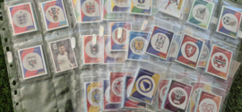 Panini World Cup 2026 Complet Set  + Albums + Extra's
