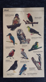 Kraft stickers vogels / birds