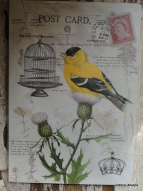 Notebook - Schriftje / Bird postcard