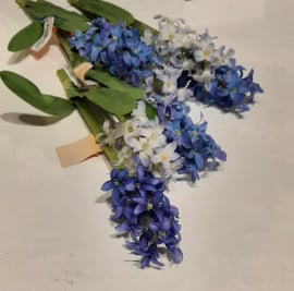 Zijdebloem - Hyacint | pstk