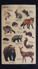 Kraft stickers dieren / animal