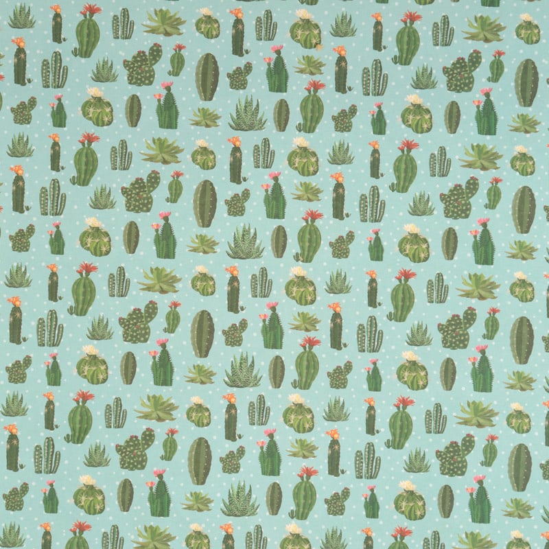 Kadopapier / cactus | | CATH Lifestyle Home Gifts & Stationery