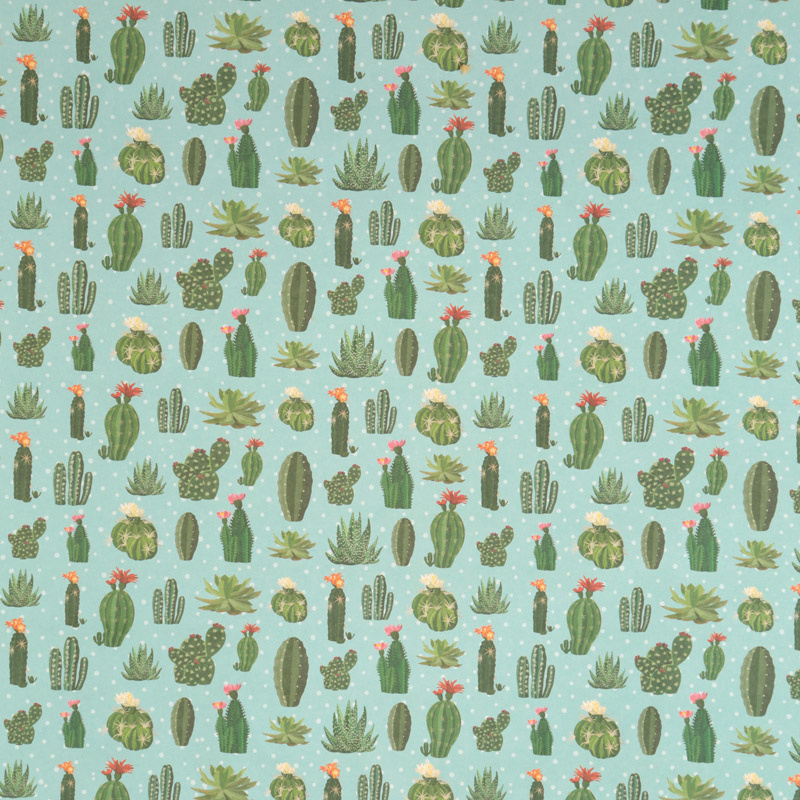 Kadopapier / cactus | | CATH Lifestyle Home Gifts & Stationery