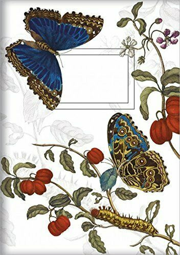 Notitieboekje / schrift | vlinders blauw | 15x21cm