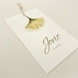 Geboortekaart Jorie