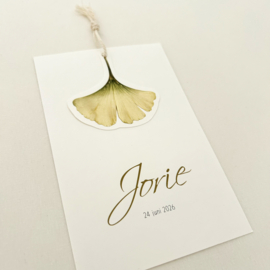 Geboortekaart Jorie