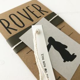 Geboortekaart Rover