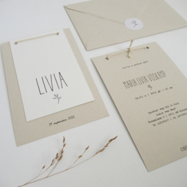 Geboortekaart Livia oud hollands - paperwise