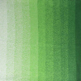709 Scheepjes Cotton Whirl 1000m - 709 Lettuce Party