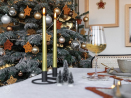 A Starry Christmas Tree