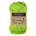 205 Catona  Kiwi