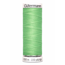 Gütermann Allesnaaigaren 200m (Kleuren van 139-169)