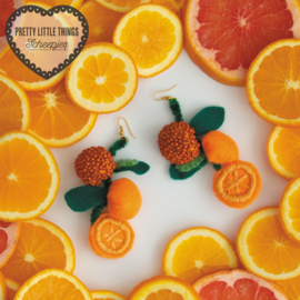 16 Scheepjes Klein Maar Fijn nr.16 Oranje