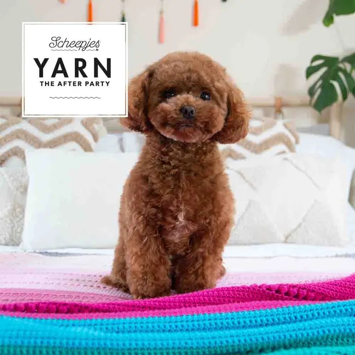 201 YARN The Af. Party nr.201 Sugar Pop Throw Organicon NL