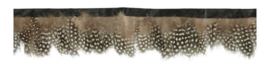 Band met fazant veren bruin wit gestippeld ± 7cm (prijs is per meter)