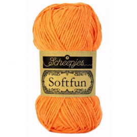 2427 Scheepjes Softfun 50 gr - 2427