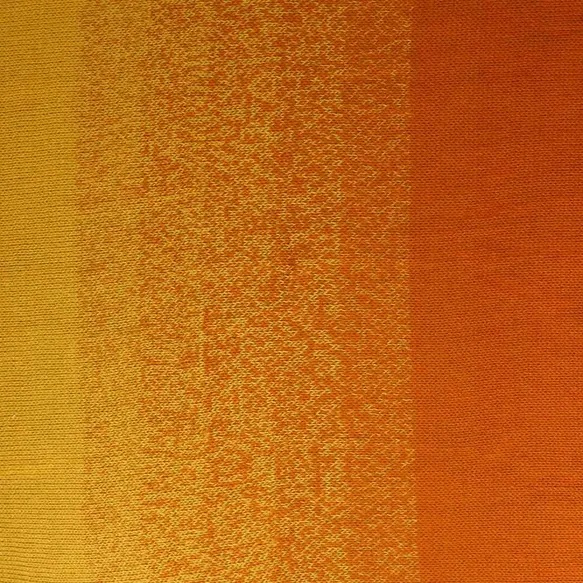 402 Mega Whirl 3000m - 402 Spiceberry