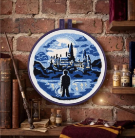 DMC Harry Potter Punch needle kit's