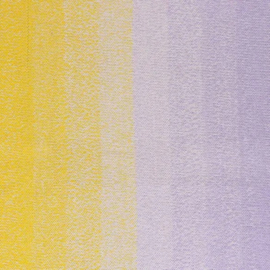 716 Scheepjes Cotton Whirl 1000m - 716 Purple Passion