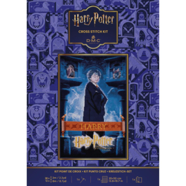 Harry Potter Kruissteekkit 25x41cm Harry poster