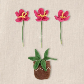 DMC Amigurumikit bloemen haken - Bloempot