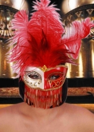 Oogmasker gran gala fantasie