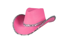 Cowboy hoed Toppers | roze en zilver