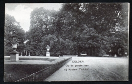 DELDEN, Op de groote laan bij Kasteel Twickel. Ongelopen kaart.