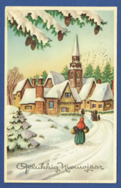 Briefkaart met internationale frankering. Nederland en België. 1952.