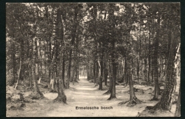 ERMELO, Ermelosche Bosch. Gelopen kaart.