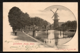 SCHIEDAM, Nieuwe Haven. Gelopen kaart.